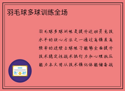 羽毛球多球训练全场