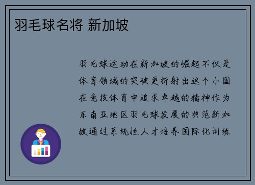 羽毛球名将 新加坡